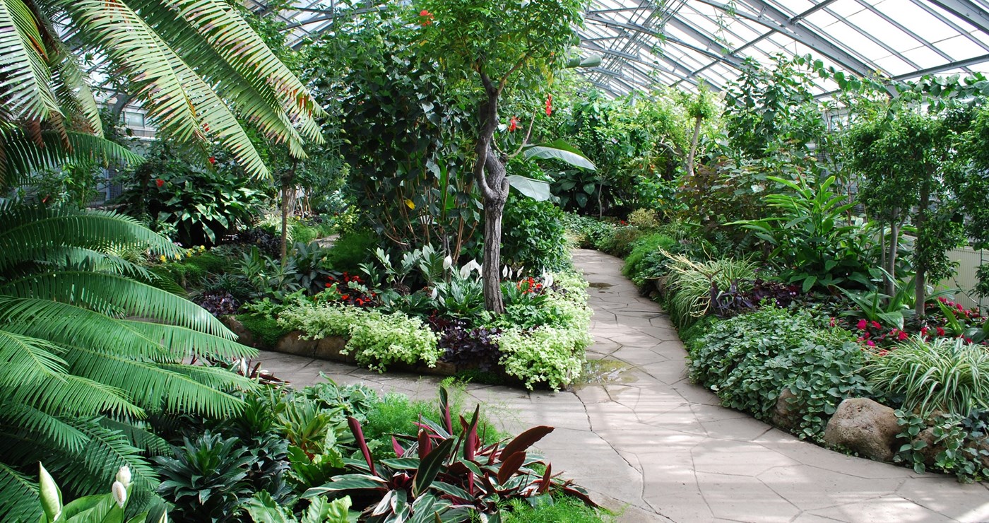 Islamic Botanical Garden